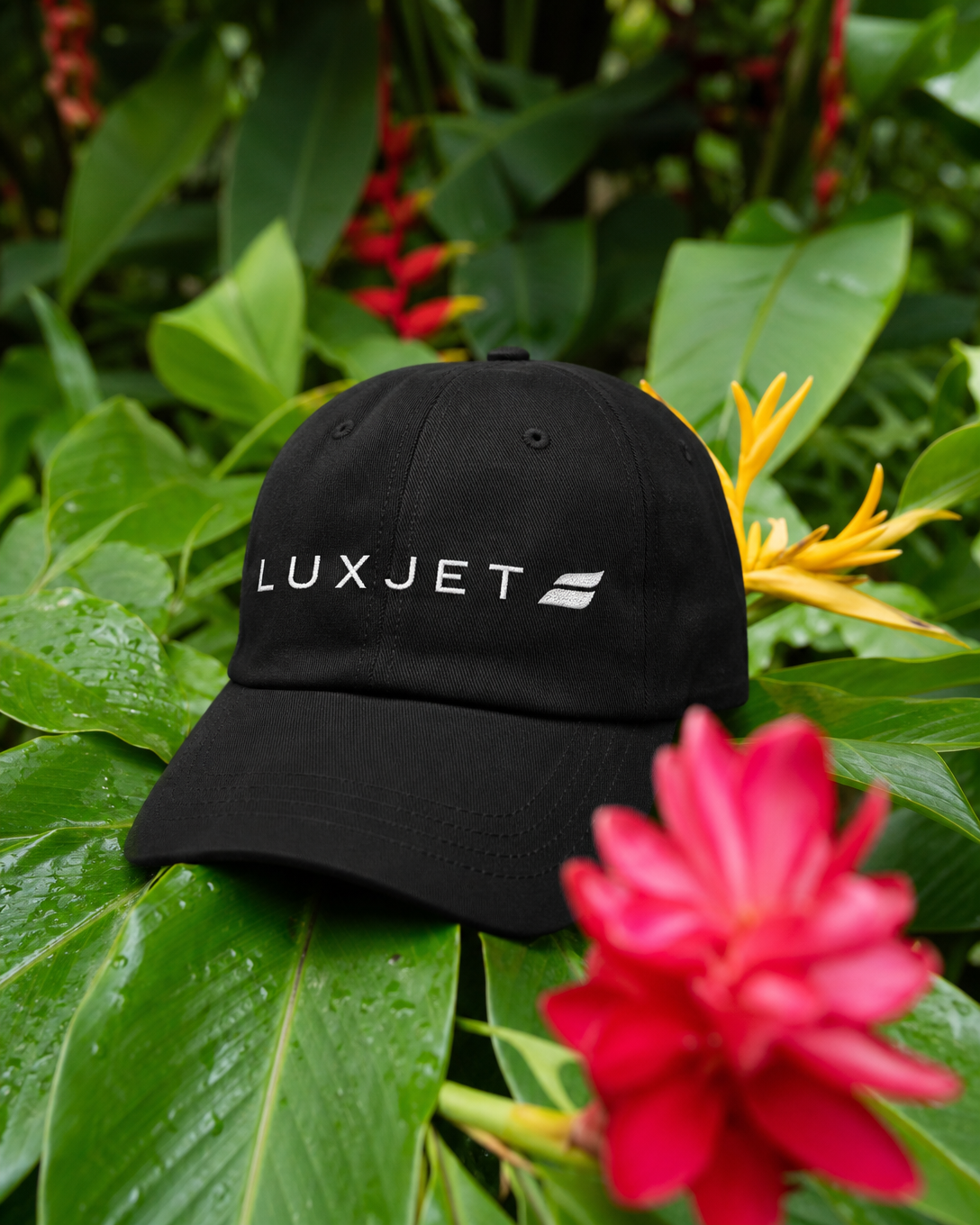 5 Ultimate Reasons to Choose luxjet.click Velvet Bag: The Ultimate Luxury Bag Guide